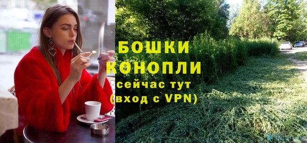 гидра Пестово
