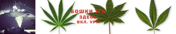гидра Пестово
